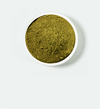 Le bol blanc avec du kratom rouge