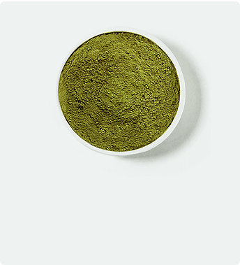 La variété blanche de kratom dans le bol