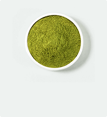 Kratom jaune placé dans un pot blanc